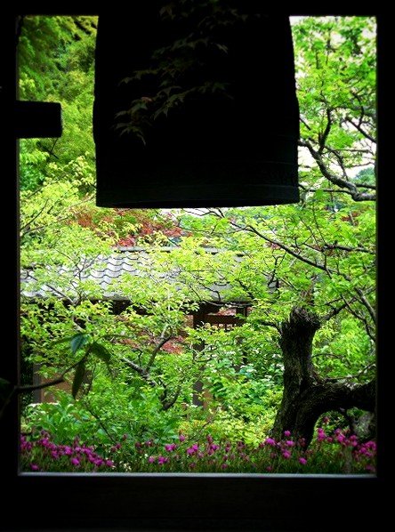 The Japanese garden, peaceful and shady, offers a Zen lifestyle experience.
