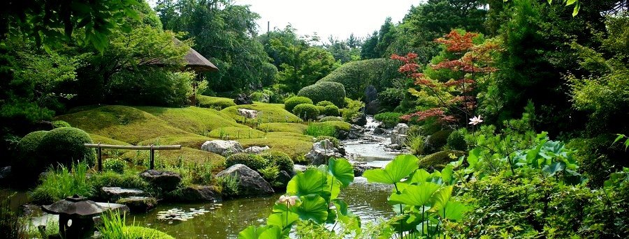 The Japanese garden, peaceful and shady, offers a Zen lifestyle experience.