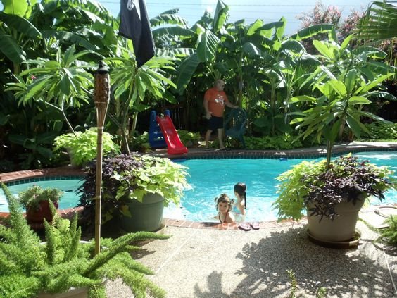 Swimming pool, shaded, cool in a green garden setting.