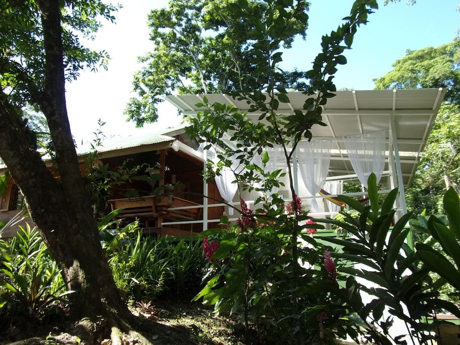 บ้านไม้ยกพื้น กับการต่อเติมบ้านให้ร่วมสมัย สร้างที่นั่งเล่นโปร่งโล่งรับวิวสวนป่าธรรมาชาติ