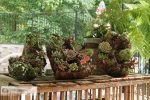 succulents-garden-design-ideas-10