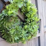 succulents-garden-design-ideas-37