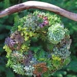 succulents-garden-design-ideas-40