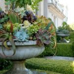 succulents-garden-design-ideas-44