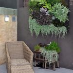 succulents-garden-design-ideas-47
