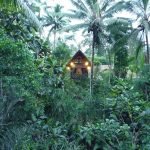 tiny-wooden-cottage-from-bali-indonesia-13