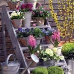 garden-ideas-2-1