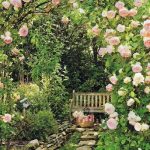 garden-ideas-2-2