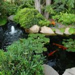 garden-ideas-3-2