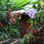 Tropical-Garden-01