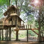 big-treehouse-in-chiangmai-thailand-01