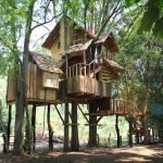 big-treehouse-in-chiangmai-thailand-08