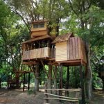 big-treehouse-in-chiangmai-thailand-09