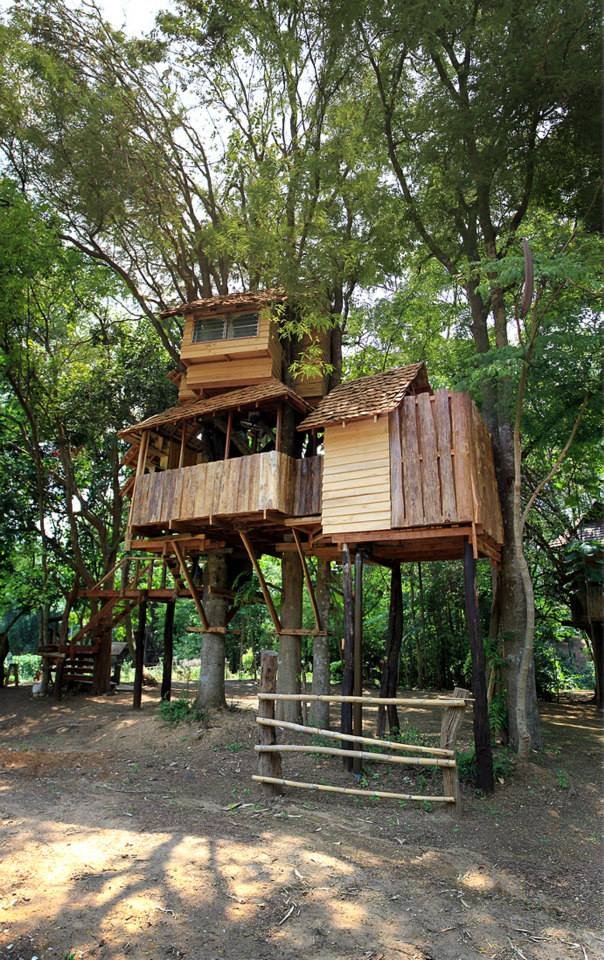 บ้านต้นไม้สูง 2 ชั้น (Treehouse)