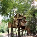 big-treehouse-in-chiangmai-thailand-10