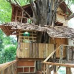 big-treehouse-in-chiangmai-thailand-11