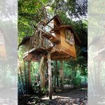 cozy-treehouse-feature
