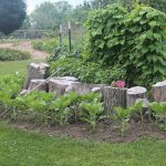 tiny-house-and-kitchen-garden-11