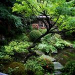 beautiful-japanese-garden-11