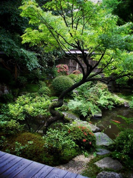 สวนญี่ปุ่น สงบ ร่มรื่น สัมผัสวิถีชีวิตแห่งเซน
