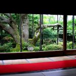 beautiful-japanese-garden-12