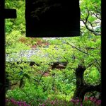 beautiful-japanese-garden-13