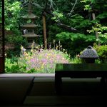 beautiful-japanese-garden-14