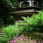 beautiful-japanese-garden-15