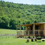 cottage-with-farm-horse-01