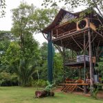 Huge-Treehouse-in-Jungle-01