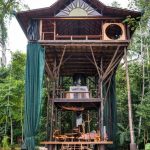 Huge-Treehouse-in-Jungle-02