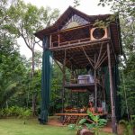 Huge-Treehouse-in-Jungle-03