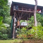 Huge-Treehouse-in-Jungle-04