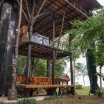 Huge-Treehouse-in-Jungle-05