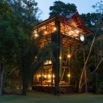 Huge-Treehouse-in-Jungle-31