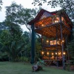 Huge-Treehouse-in-Jungle-33