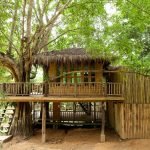 Treehouse-Chiangmai-Thailand-01