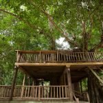 Treehouse-Chiangmai-Thailand-02