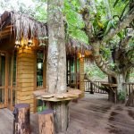 Treehouse-Chiangmai-Thailand-03