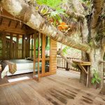 Treehouse-Chiangmai-Thailand-04