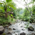 Treehouse-Chiangmai-Thailand-08