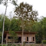 bamboo-house-low-cost-01