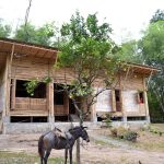 bamboo-house-low-cost-03