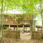 thai-bamboo-house-and-homestay-02