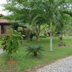 Charming-Malay-style-chalet-06