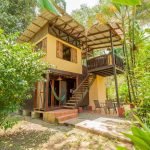 Jungle-house-for-families-01