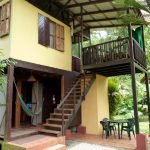 Jungle-house-for-families-02