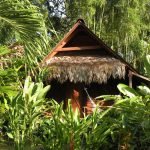 wooden-cottage-with-natural-gardens-11