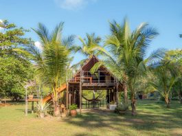 แบบกระท่อมไม้ ที่พักตากอากาศ มีห้องน้ำกลางแจ้งบรรยากาศสุดฟิน