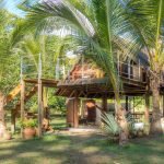 Cabin-in-the-Jungle-Costa Rica-17
